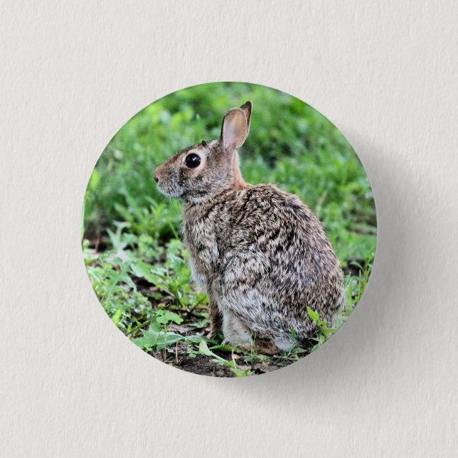 Bunny  1 inch round button (Front)