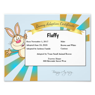 Bunny Adoption Certificate Photo Print