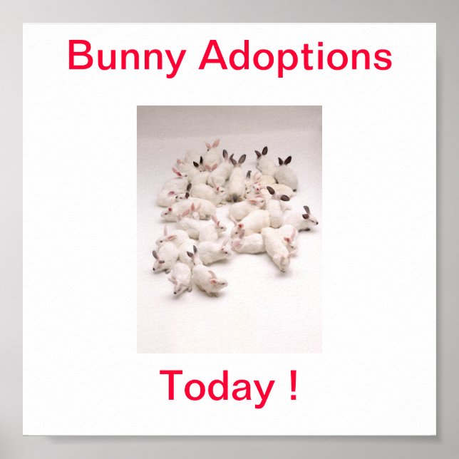 Bunny Adoption Today Sign (Front)
