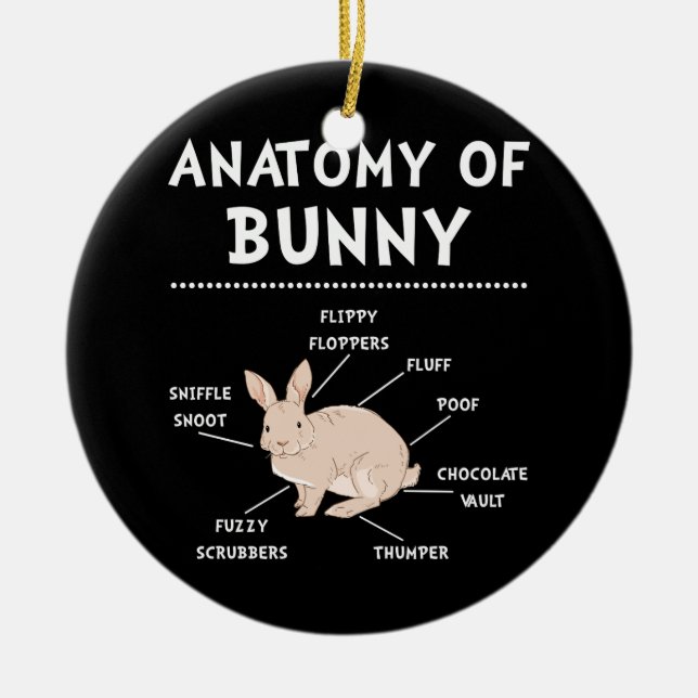 Bunny Anatomy Rabbit Lover Bunny Mom Ceramic Ornament (Front)