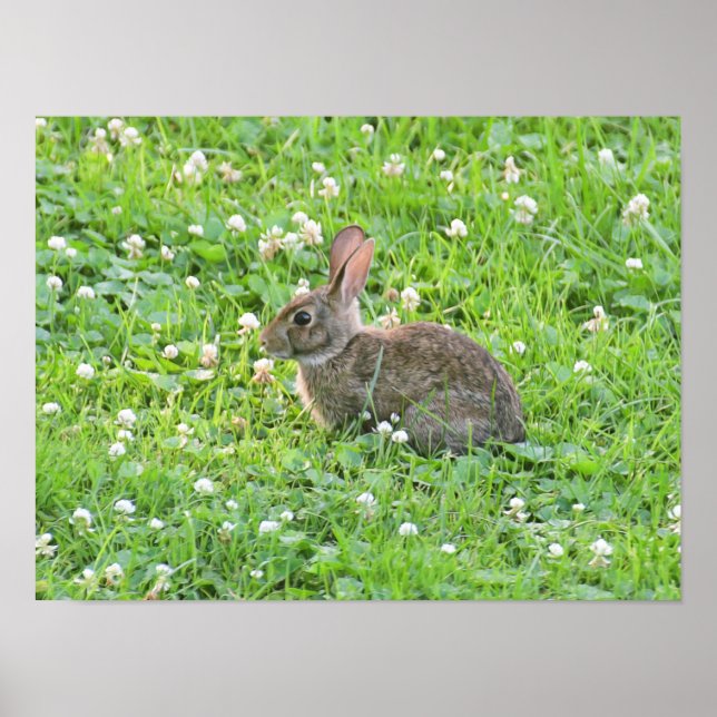 Bunny and Clover***** Poster (Front)