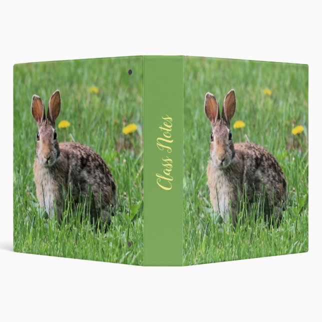 Bunny Binder (Background)