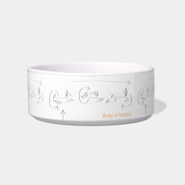 Bunny Binky Pet Bowl (Front)