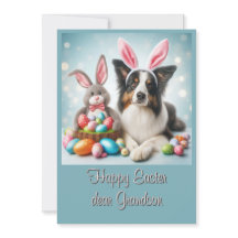 Bunny Border Collie Happy Easter Grandson 