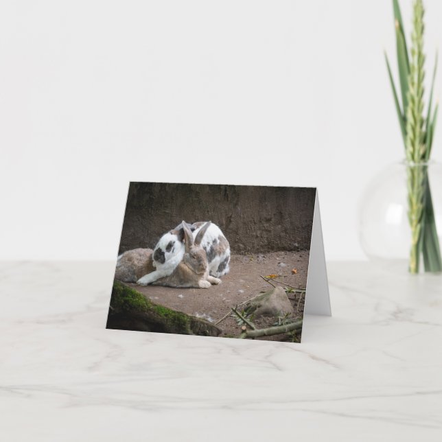 Bunny Card (Front)