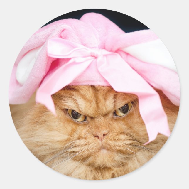 Bunny Cat Easter Classic Round Sticker (Front)