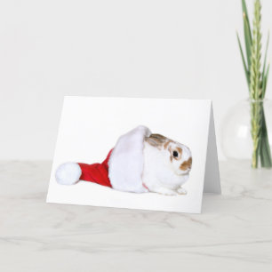 Bunny Christmas Holiday Card