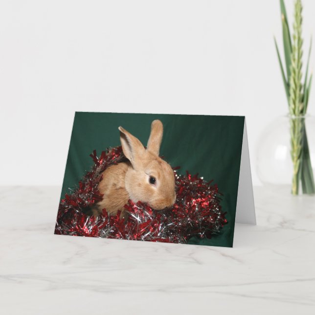 Bunny Christmas Holiday Card (Front)
