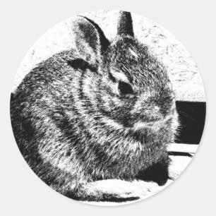 Bunny Classic Round Sticker
