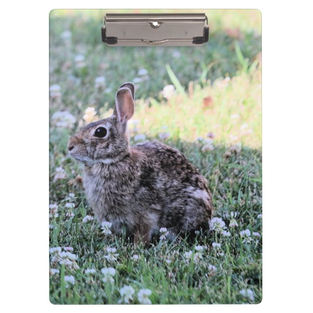 Bunny  clipboard (Front)