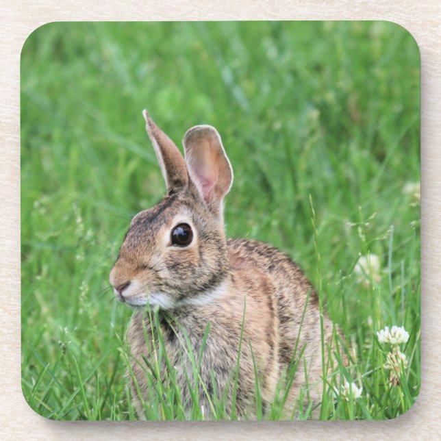 Bunny    coaster (Front)