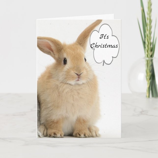 BUNNY COMES OUT TO SAY *MERRY CHRISTMAS* HOLIDAY CARD (Front)
