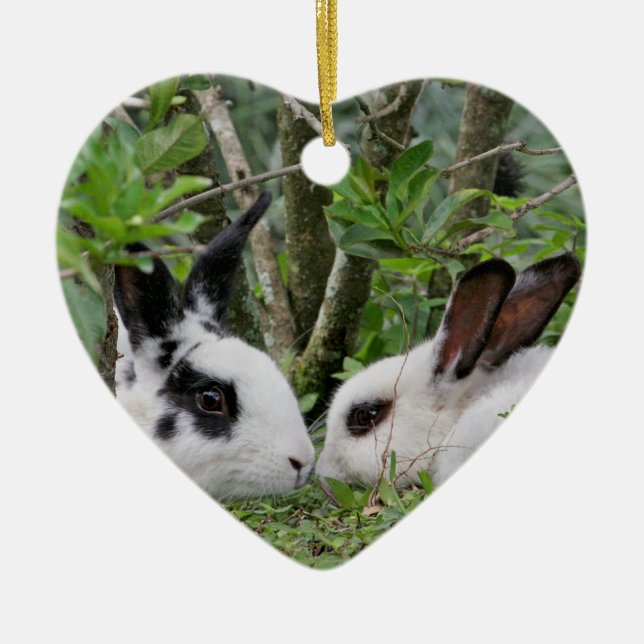 Bunny Couple Ceramic Ornament (Front)