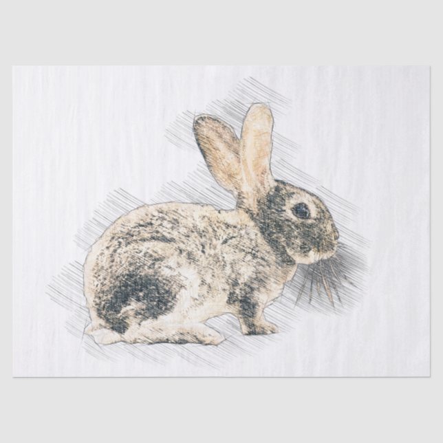 Bunny Drawing Tissue Paper (Front)