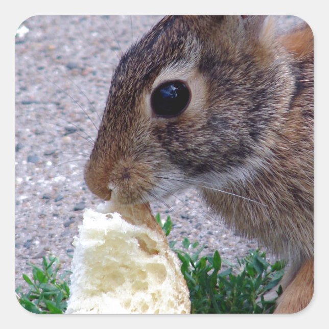 Bunny Found Bread Square Sticker (Front)