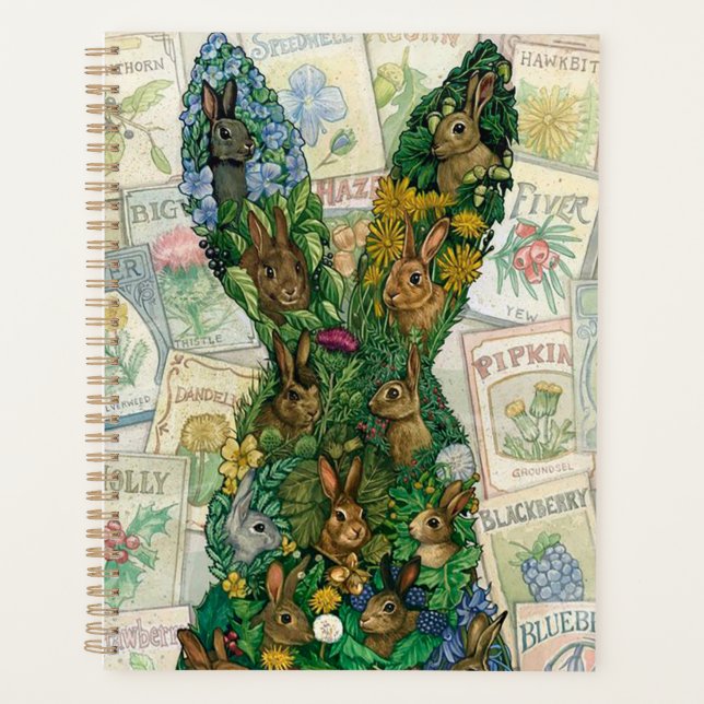 Bunny Garden (Devant)