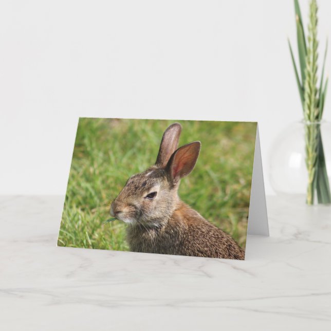 Bunny Greeting Card (Front)