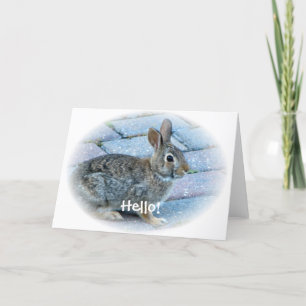 Bunny Greeting Card by Elaine