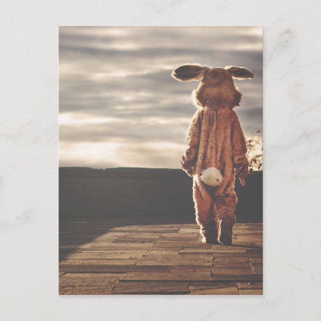 bunny grunge postcard (Front)
