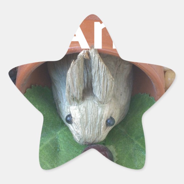 Bunny Home Honey Am Home Star Sticker (Front)