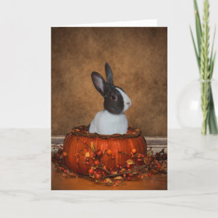 Bunny In A Pumpkin Card
