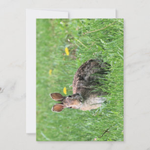 Bunny  invitation