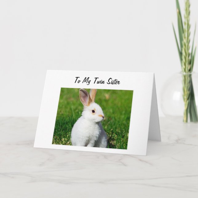 BUNNY IS HOPPING BY TO YOUR TWIN SISTER BIRTHDAY CARD (Front)