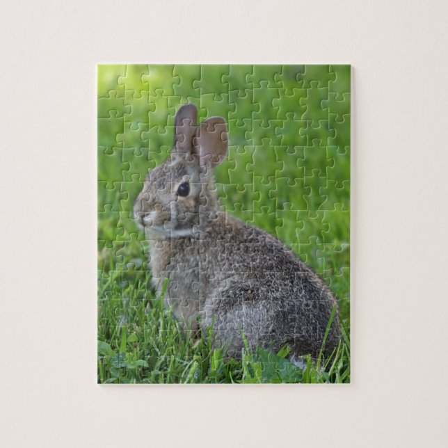 Bunny  jigsaw puzzle (Vertical)