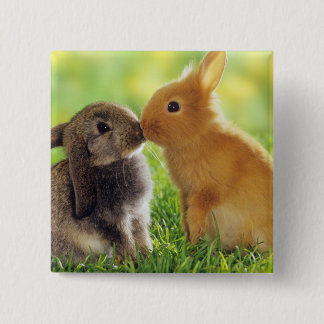 Bunny Kiss 2 Inch Square Button