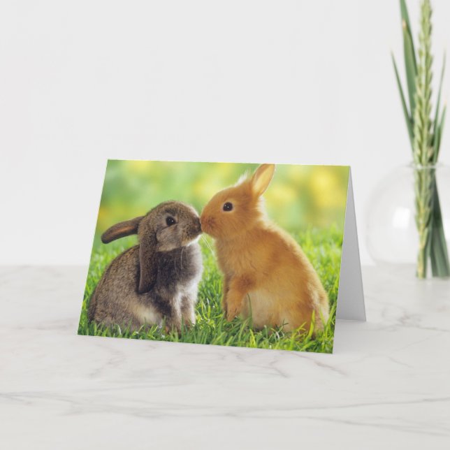 Bunny Kiss Card (Front)