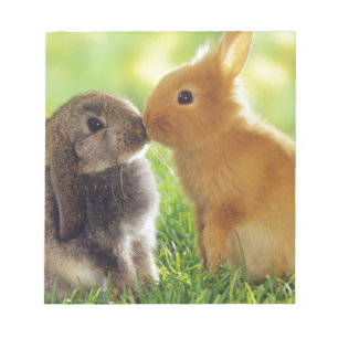 Bunny Kiss Notepad