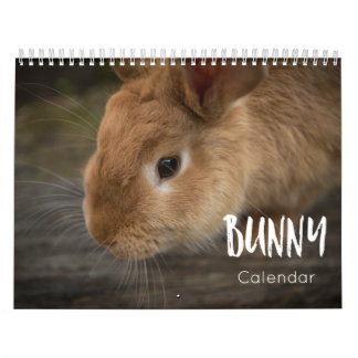 Bunny ( Lapins ) Calendrier 2023