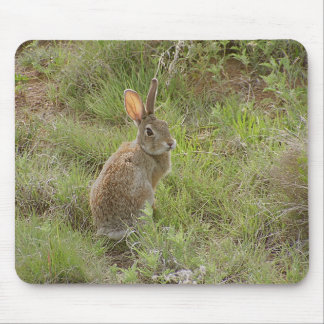Bunny Looks Over Shoulder Mouse Pad
