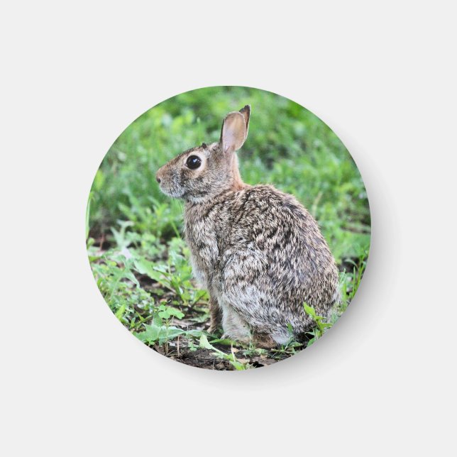 Bunny   magnet (Front)