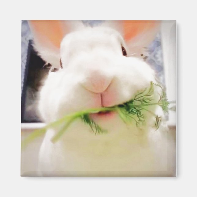 Bunny Magnet (Front)