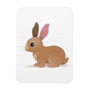 Bunny Magnet