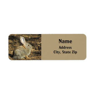 Bunny mignonne petit lapin Brown animal du désert