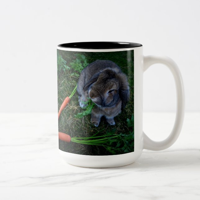 Bunny Munches Carrots / Mug (Right)