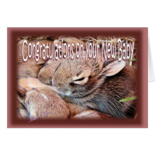 Bunny-newbaby-customize