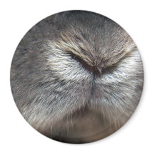 Bunny nose