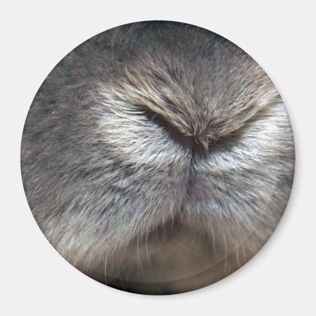 Bunny nose magnet (Front)