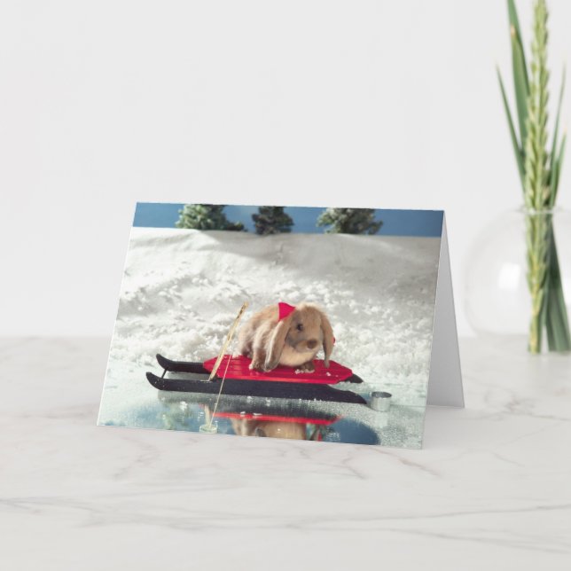 Bunny on Sled Christmas Card (Blank) (Front)
