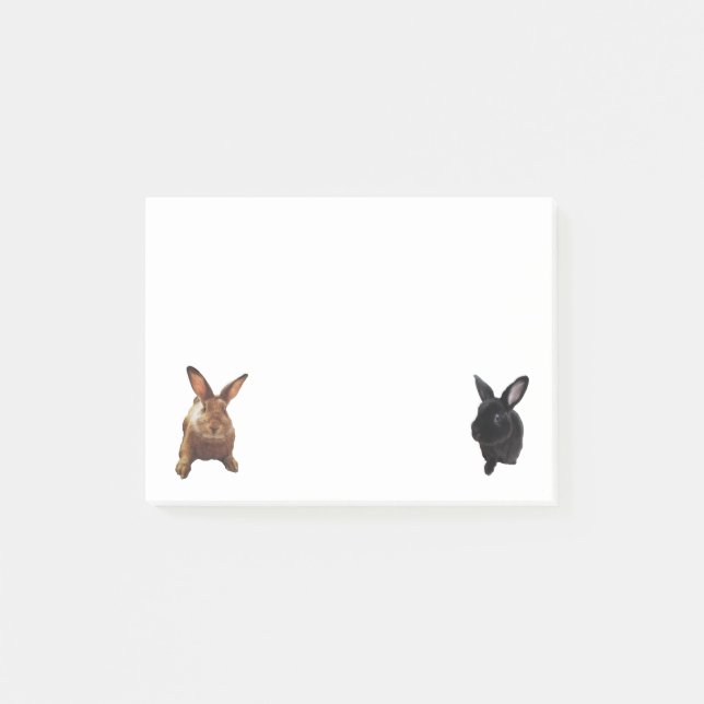 Bunny Post-Its Post-it Notes (Front)