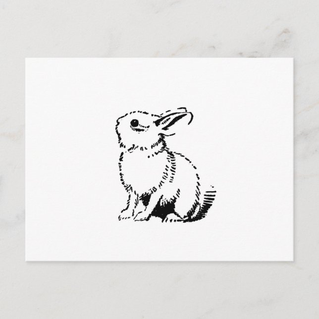 bunny postcard (Front)
