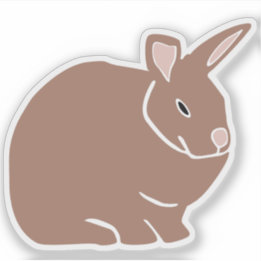 Bunny Rabbit