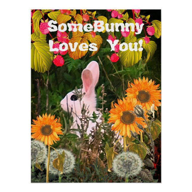 Bunny Rabbit Animal Wildlife  Poster (Front)