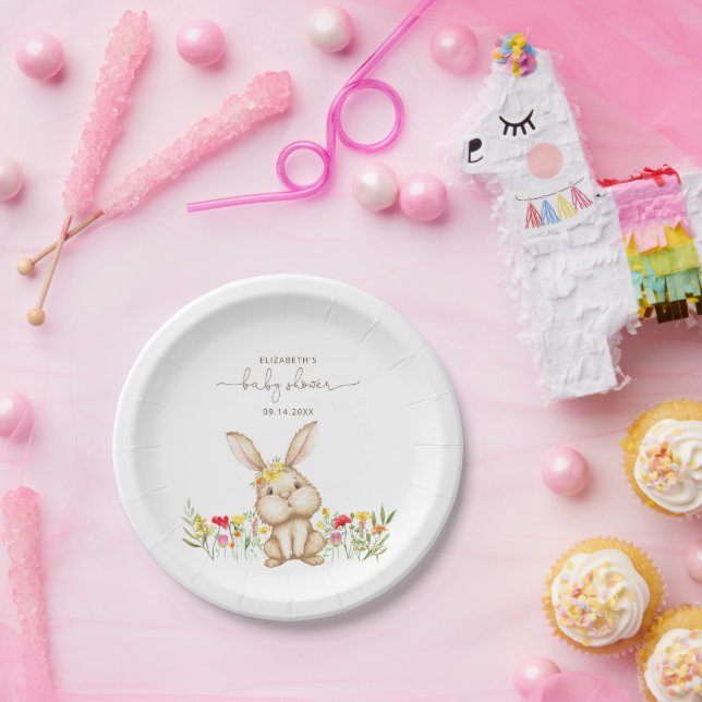 Bunny Rabbit Baby Girl Shower Paper Plates (Party)