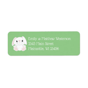 Bunny Rabbit Baby Shower
