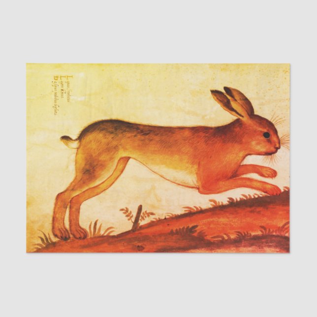 BUNNY RABBIT Custom 10lb Tissue Paper, White Paper (Front)