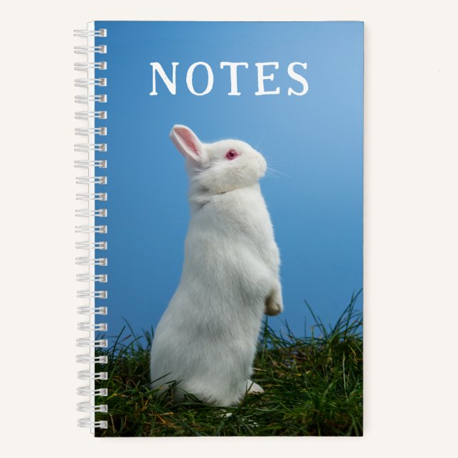 Bunny Rabbit Cute Notebook (Front)